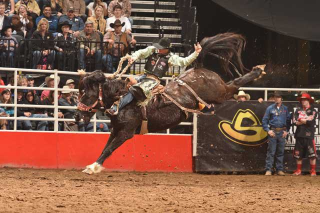 San Antonio Stock Show & Rodeo - FEBRUARY